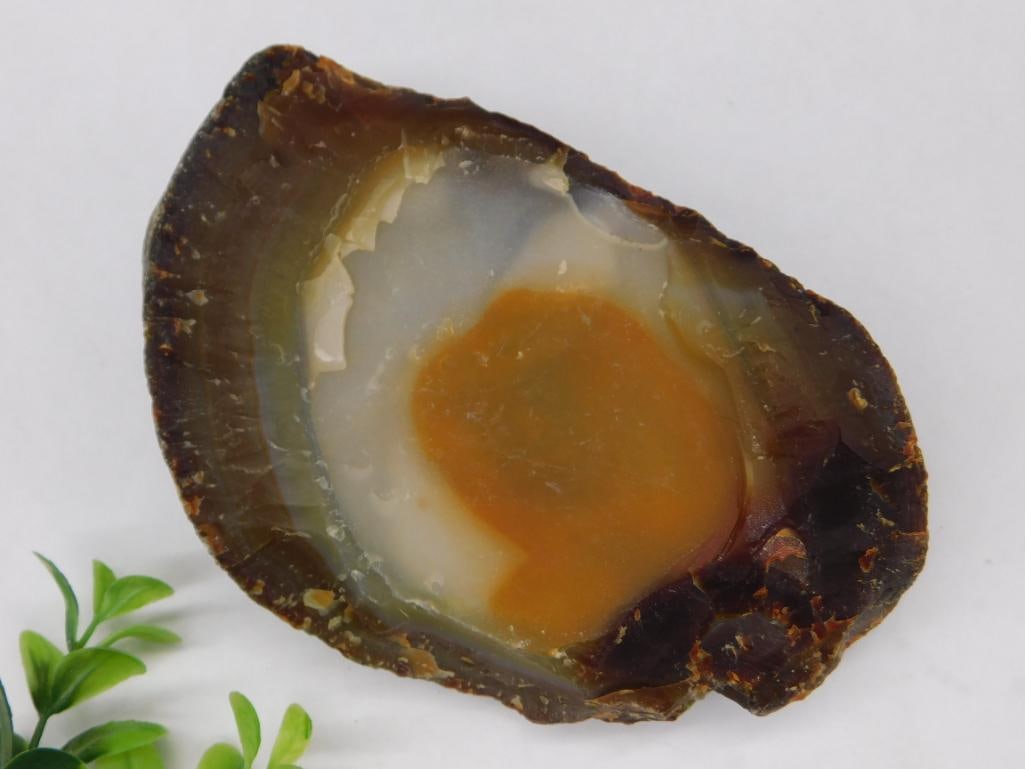 Agate Specimen with Earthy Tones ROCK STONE LAPIDARY SPECIMEN: Agate Specimen with Earthy Tones ROCK STONE LAPIDARY SPECIMEN