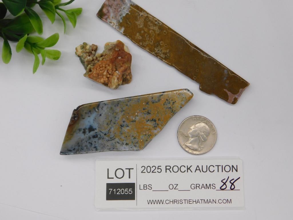 Ocean Jasper Rock Stone Lapidary Specimen - 2