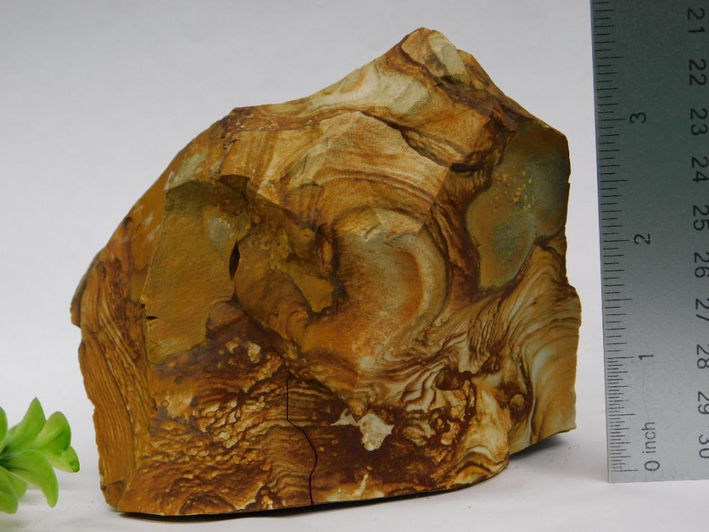 Jasper Rock Stone Lapidary Specimen - 3