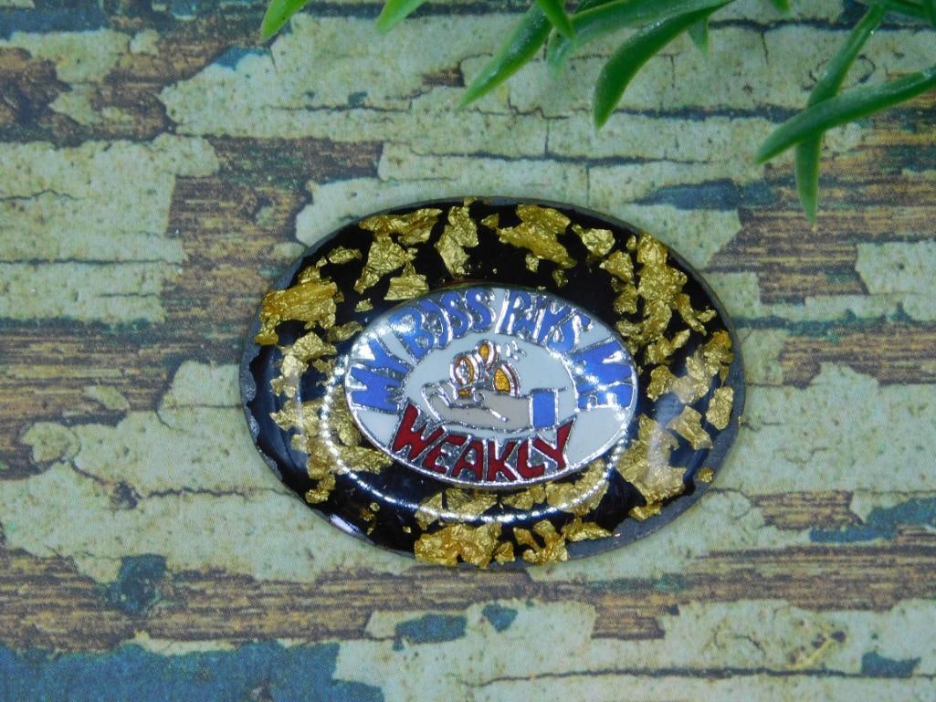 MY BOSS PAYS ME CABOCHON ROCK STONE LAPIDARY SPECIMEN: MY BOSS PAYS ME CABOCHON ROCK STONE LAPIDARY SPECIMEN