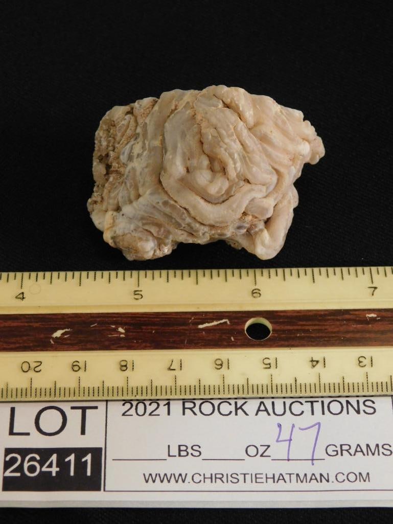 GEODE ROCK STONE LAPIDARY SPECIMEN - 2