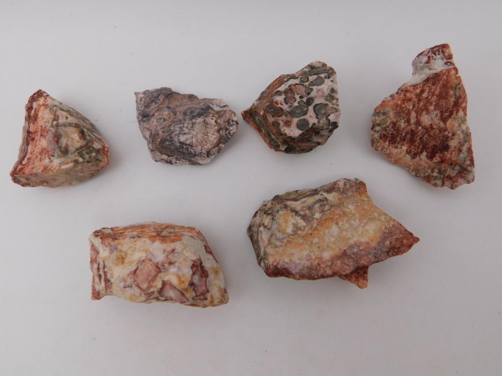 LEOPARD SKIN JASPER ROCK STONE LAPIDARY SPECIMEN: LEOPARD SKIN JASPER ROCK STONE LAPIDARY SPECIMEN