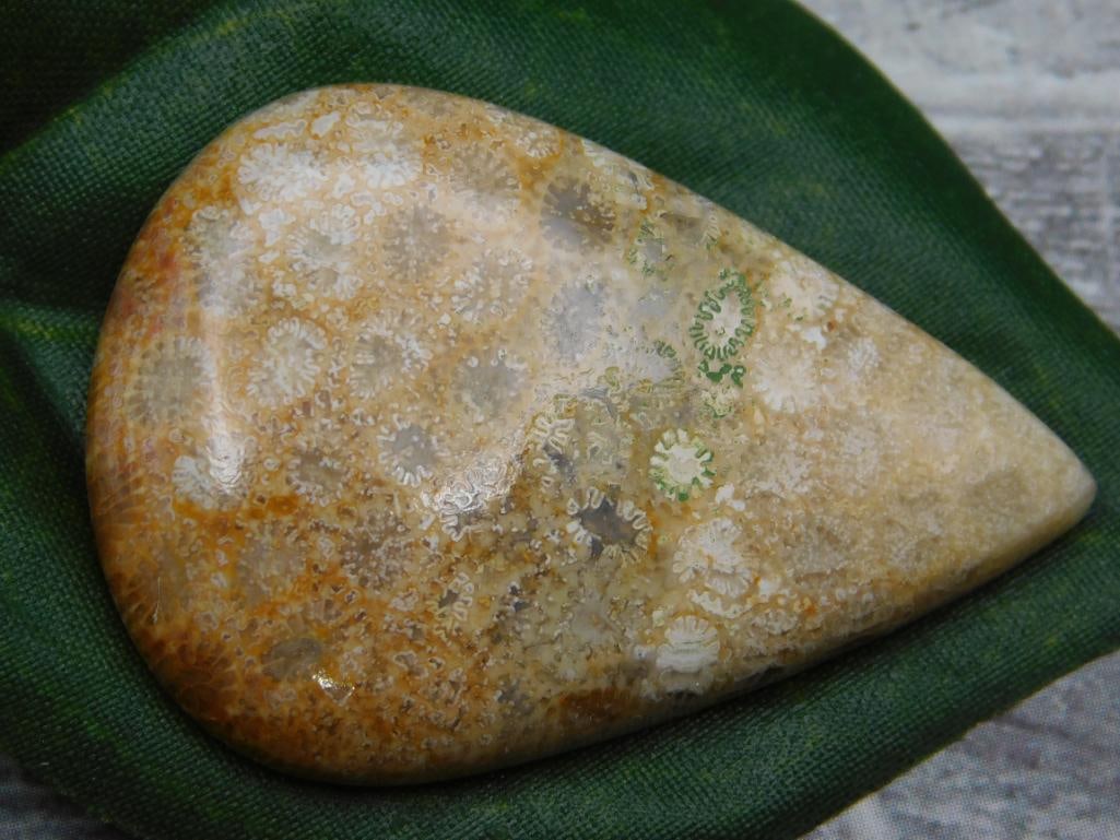 SPECIAL JEWELRY SALE! SEE PHOTOS FOR DETAILS (1 of 2)