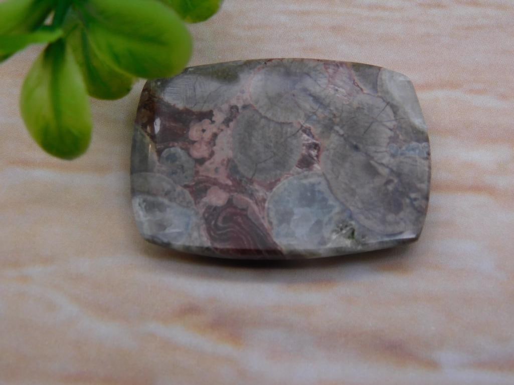 CABOCHON ROCK STONE LAPIDARY SPECIMEN: CABOCHON ROCK STONE LAPIDARY SPECIMEN