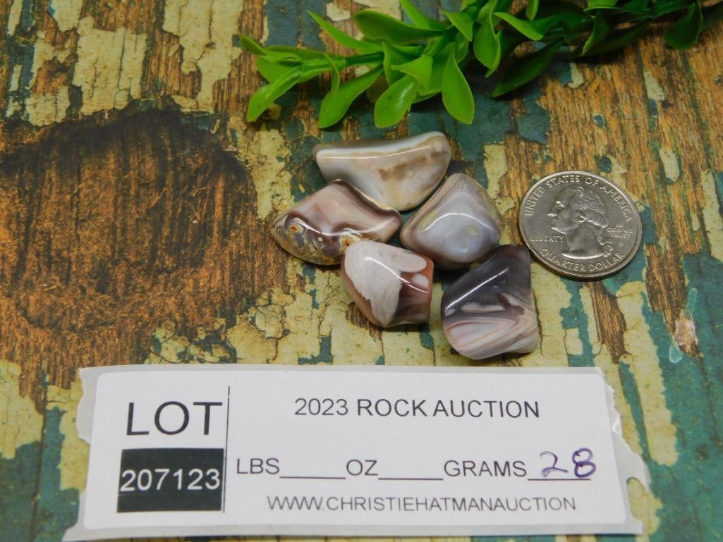ROCK STONE LAPIDARY SPECIMEN - 2