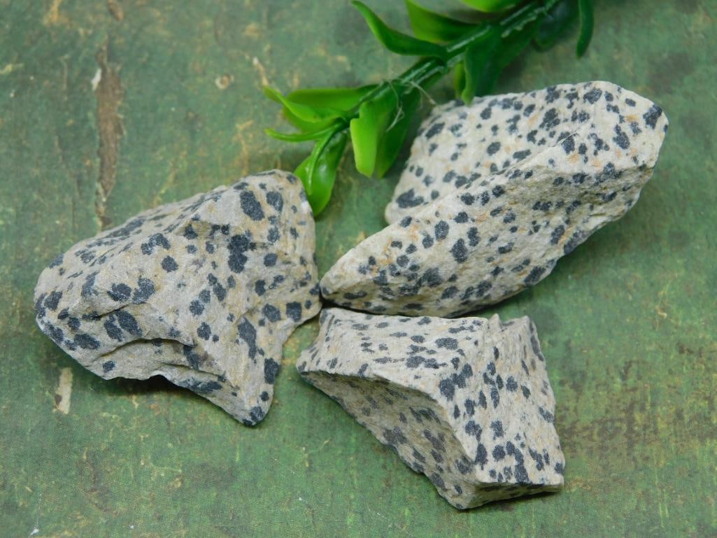 DALMATION JASPER ROCK STONE LAPIDARY SPECIMEN: DALMATION JASPER ROCK STONE LAPIDARY SPECIMEN