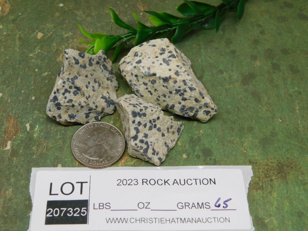 DALMATION JASPER ROCK STONE LAPIDARY SPECIMEN - 2