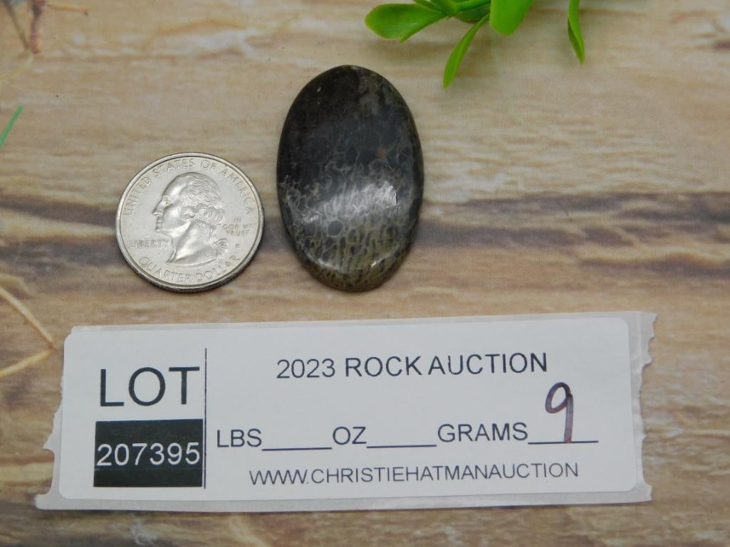 CABOCHON ROCK STONE LAPIDARY SPECIMEN - 2