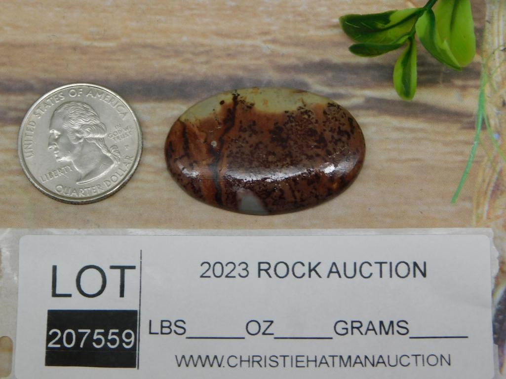 CABOCHON ROCK STONE LAPIDARY SPECIMEN - 2