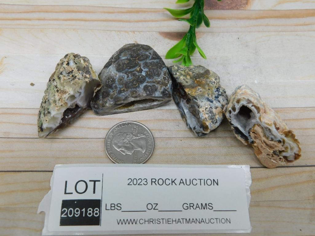 OCO GEODES ROCK STONE LAPIDARY SPECIMEN - 3