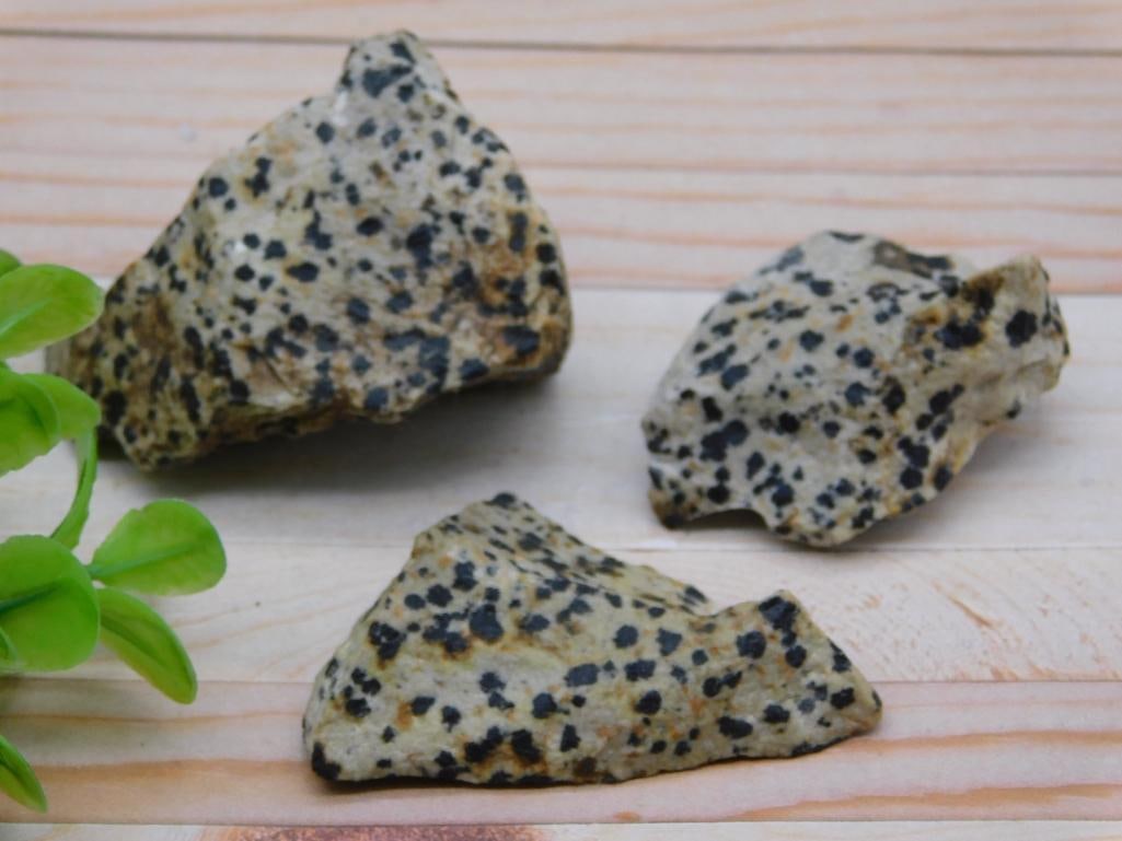 DALMATION JASPER ROCK STONE LAPIDARY SPECIMEN (1 of 2)
