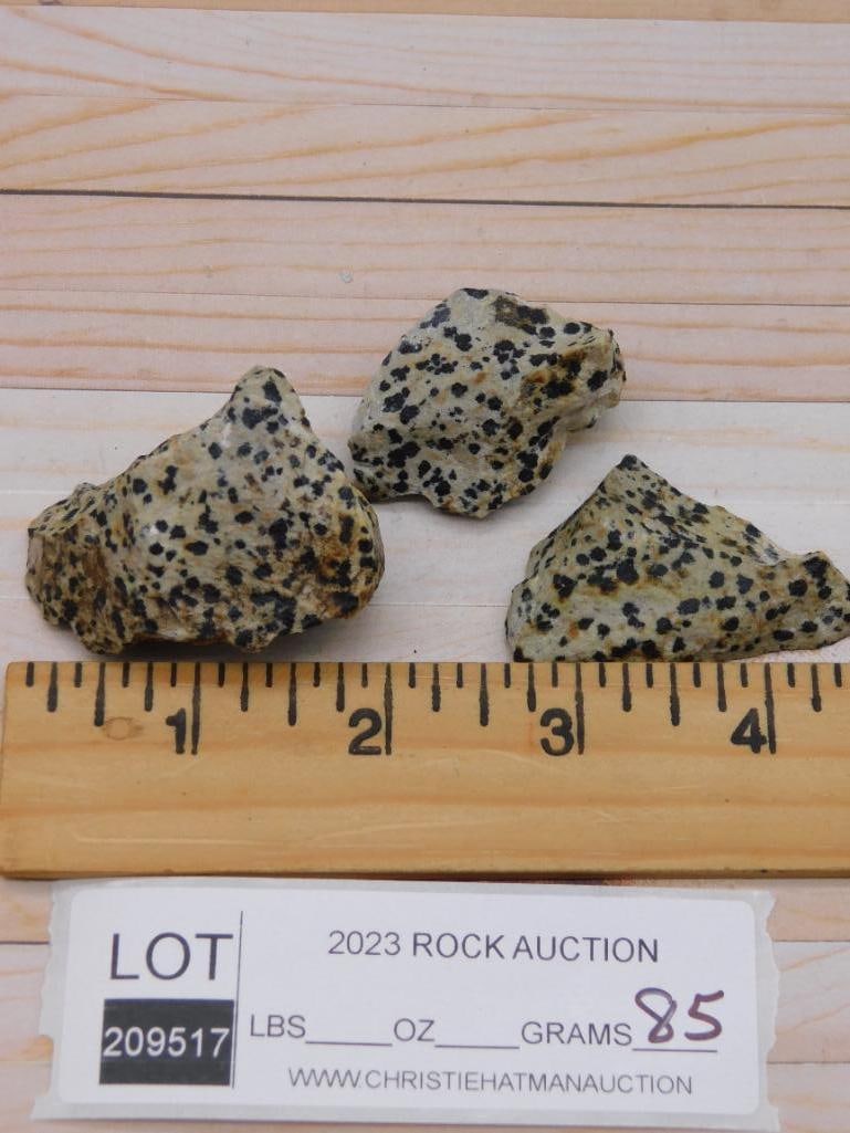 DALMATION JASPER ROCK STONE LAPIDARY SPECIMEN - 2