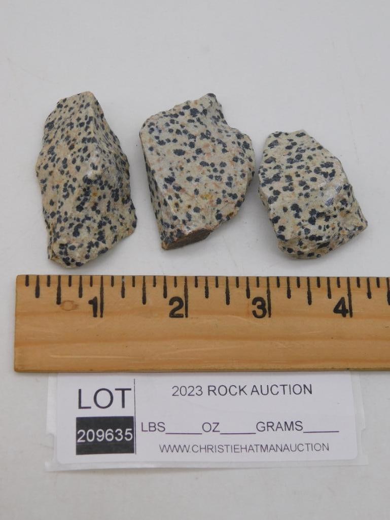 DALMATION JASPER ROCK STONE LAPIDARY SPECIMEN - 2