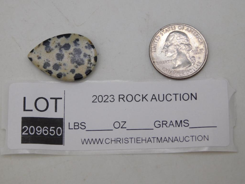 DALMATION JASPER ROCK STONE LAPIDARY SPECIMEN - 2