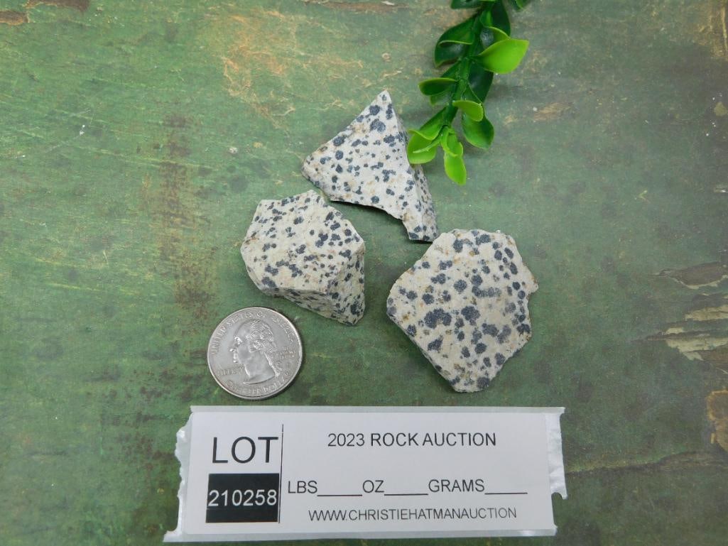 DALMATION JASPER ROCK STONE LAPIDARY SPECIMEN - 2