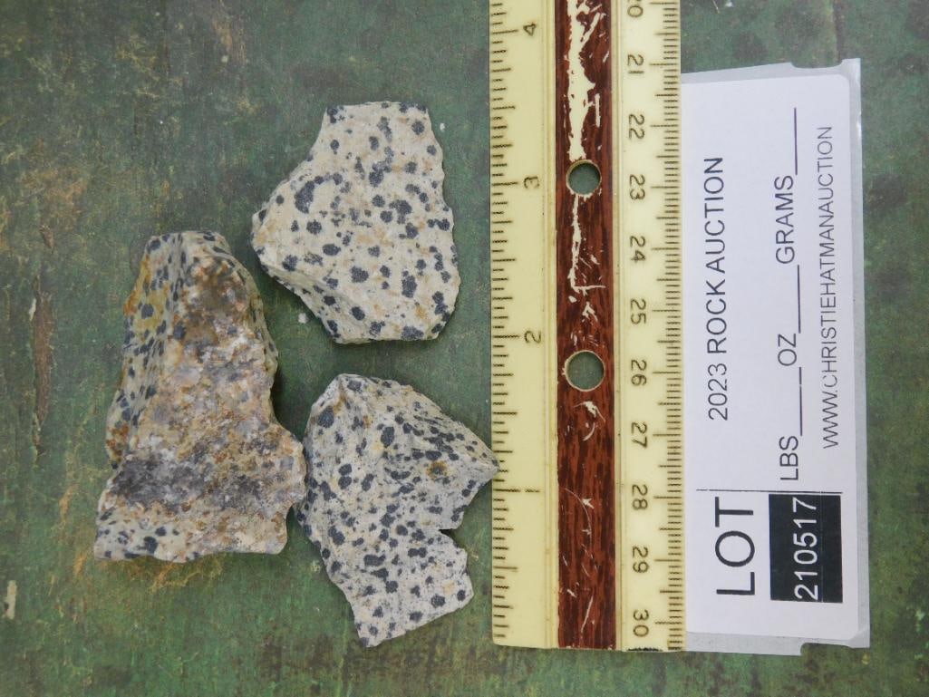 DALMATION JASPER ROCK STONE LAPIDARY SPECIMEN - 2