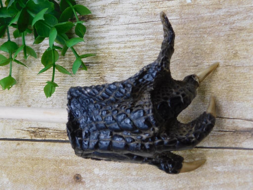 ALLIGATOR HAND BACK SCRATCHER: ALLIGATOR HAND BACK SCRATCHER