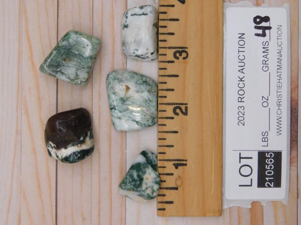 TREE AGATE ROCK STONE LAPIDARY SPECIMEN - 2