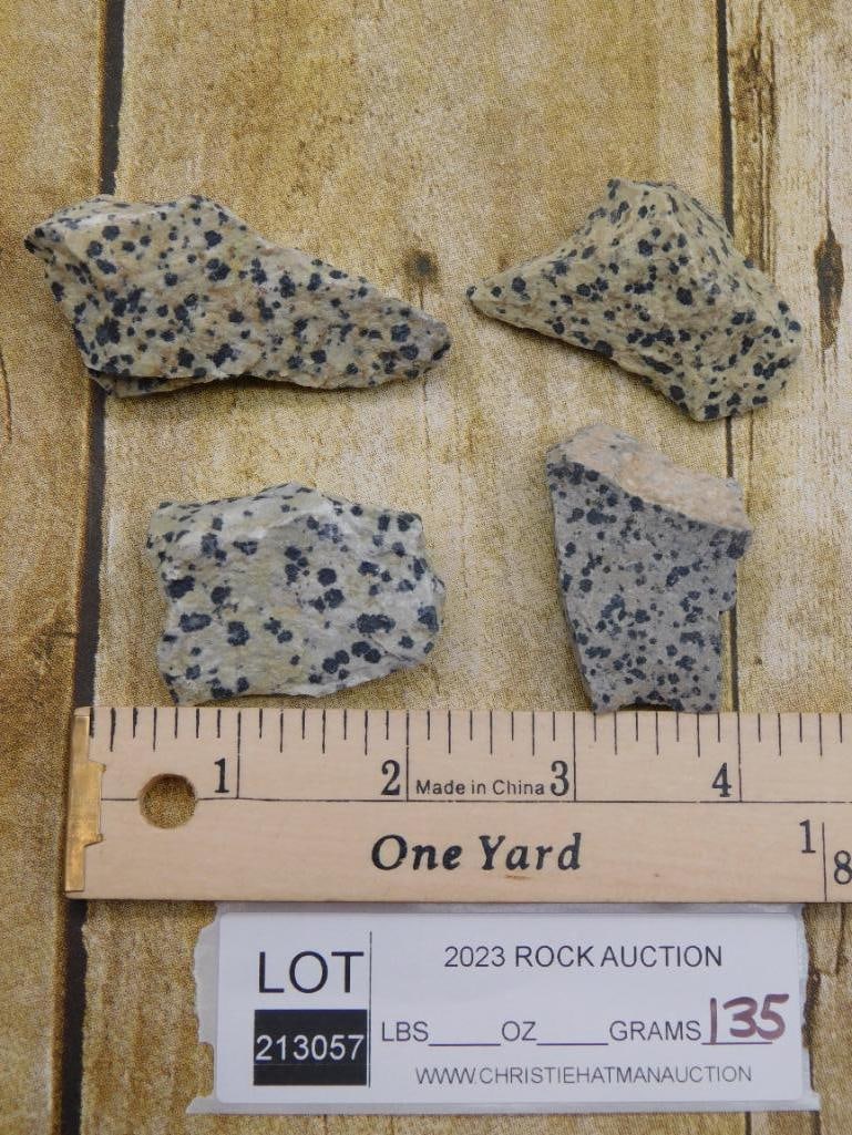 DALMATION JASPER ROCK STONE LAPIDARY SPECIMEN - 2