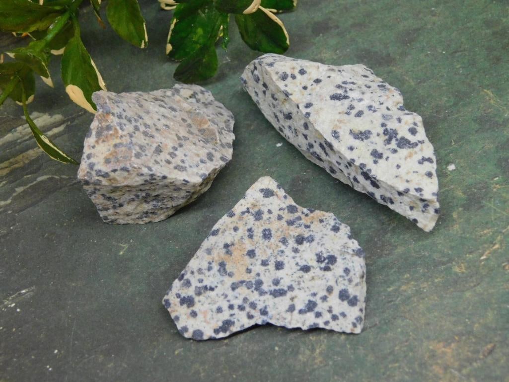 DALMATION JASPER ROCK STONE LAPIDARY SPECIMEN (1 of 2)