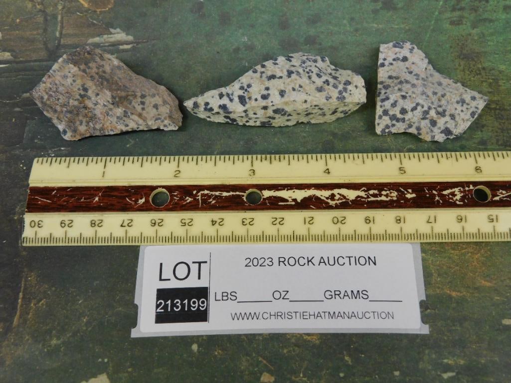 DALMATION JASPER ROCK STONE LAPIDARY SPECIMEN - 2