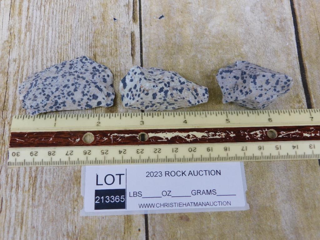 DALMATION JASPER ROCK STONE LAPIDARY SPECIMEN - 2