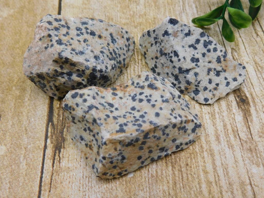 DALMATION JASPER ROCK STONE LAPIDARY SPECIMEN (1 of 2)