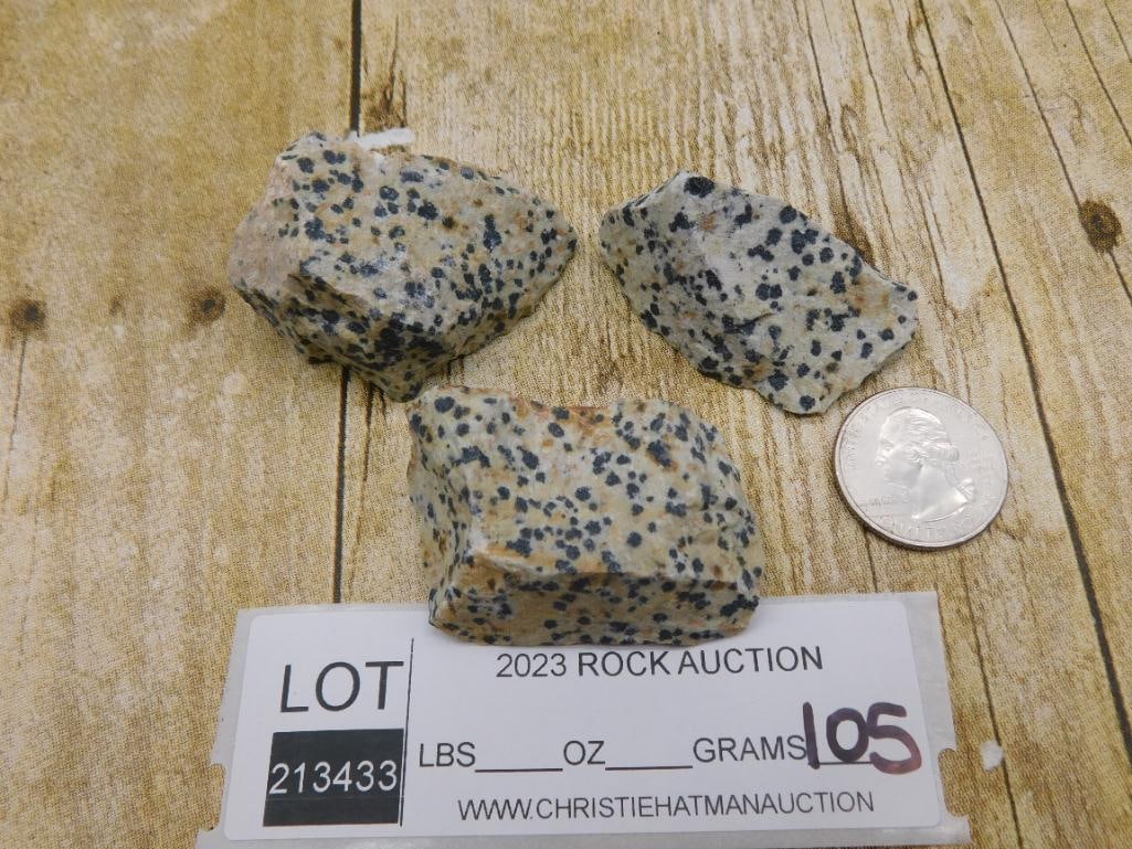 DALMATION JASPER ROCK STONE LAPIDARY SPECIMEN - 2