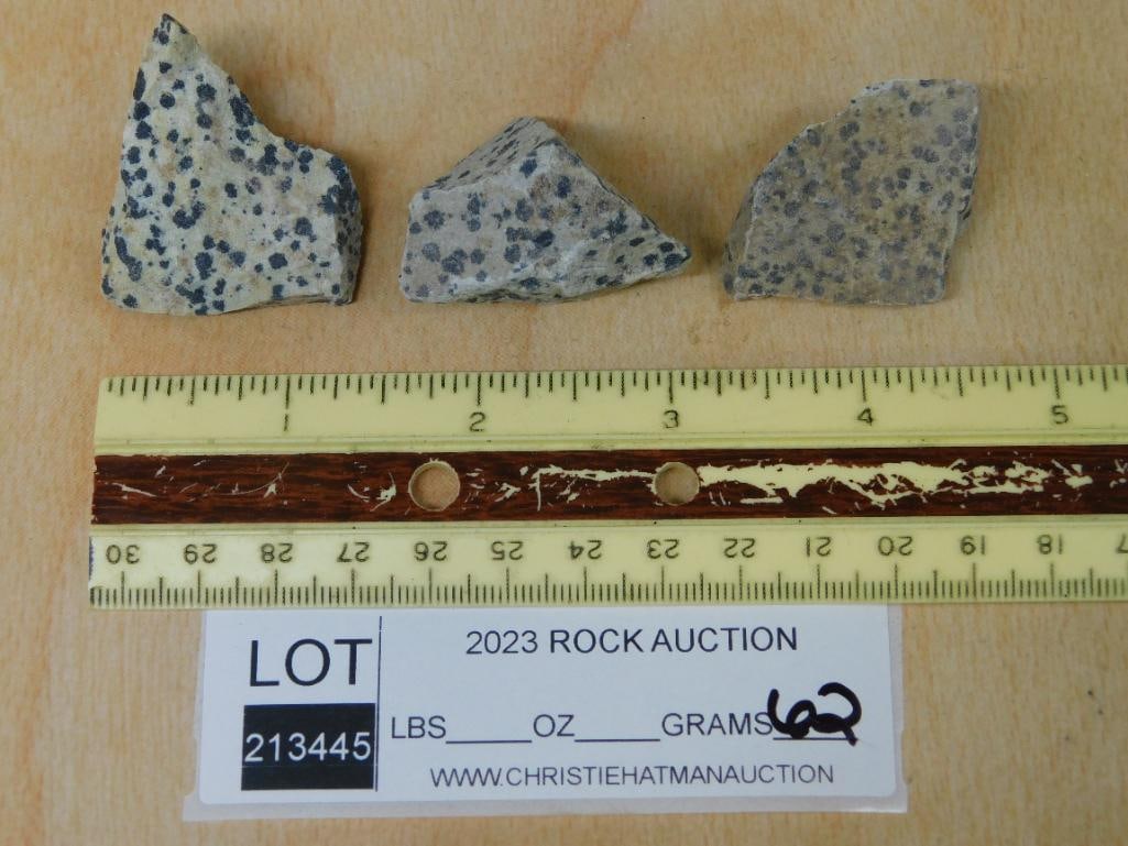 DALMATION JASPER ROCK STONE LAPIDARY SPECIMEN - 2