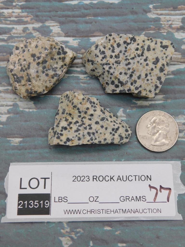 DALMATION JASPER ROCK STONE LAPIDARY SPECIMEN - 2