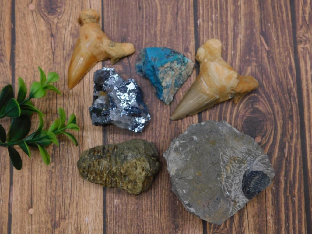 MIXED LOT ROCK STONE LAPIDARY SPECIMEN: MIXED LOT ROCK STONE LAPIDARY SPECIMEN