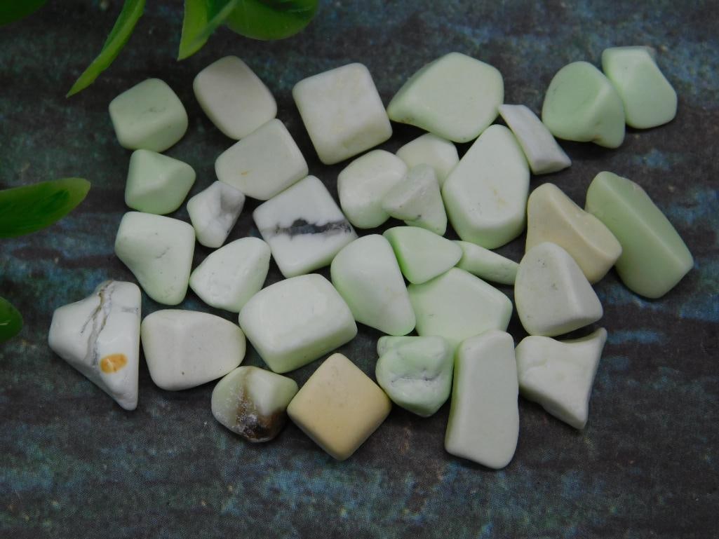 Polished Greenish-Toned Stones Lot: Polished Greenish-Toned Stones Lot