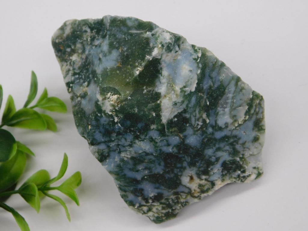 MOSS PLUME AGATE ROCK STONE LAPIDARY SPECIMEN: MOSS PLUME AGATE ROCK STONE LAPIDARY SPECIMEN