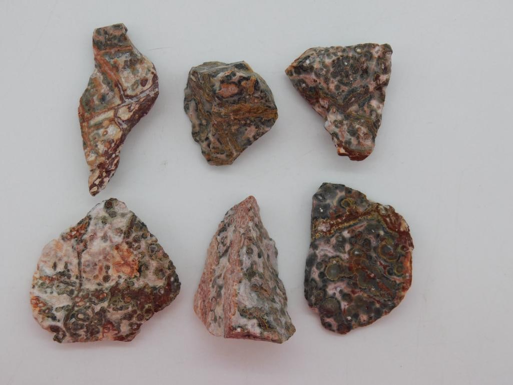 LEOPARD SKIN JASPER ROCK STONE LAPIDARY SPECIMEN: LEOPARD SKIN JASPER ROCK STONE LAPIDARY SPECIMEN