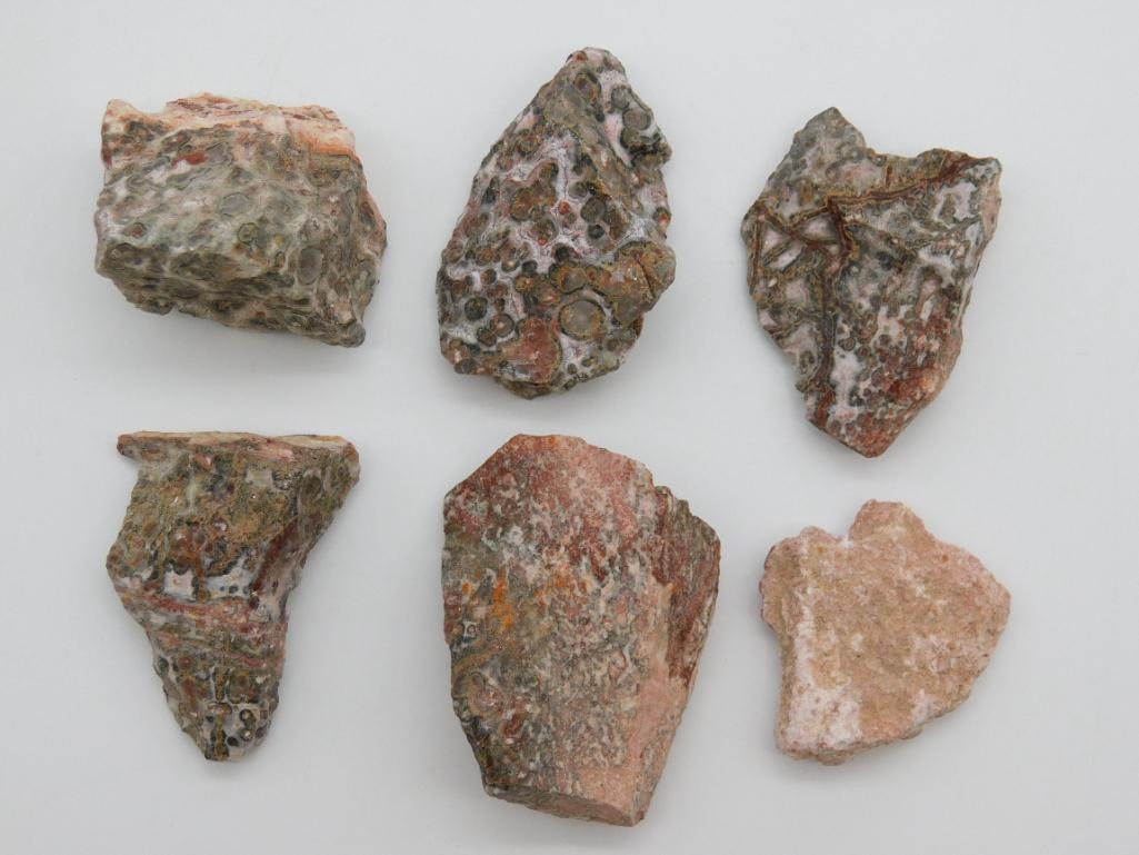 LEOPARD SKIN JASPER ROCK STONE LAPIDARY SPECIMEN: LEOPARD SKIN JASPER ROCK STONE LAPIDARY SPECIMEN