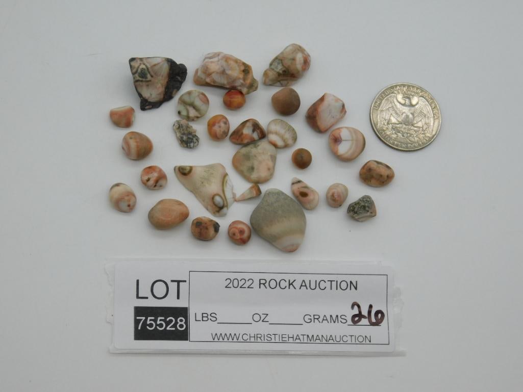 THOMPSONITE ROCK STONE LAPIDARY SPECIMEN - 2