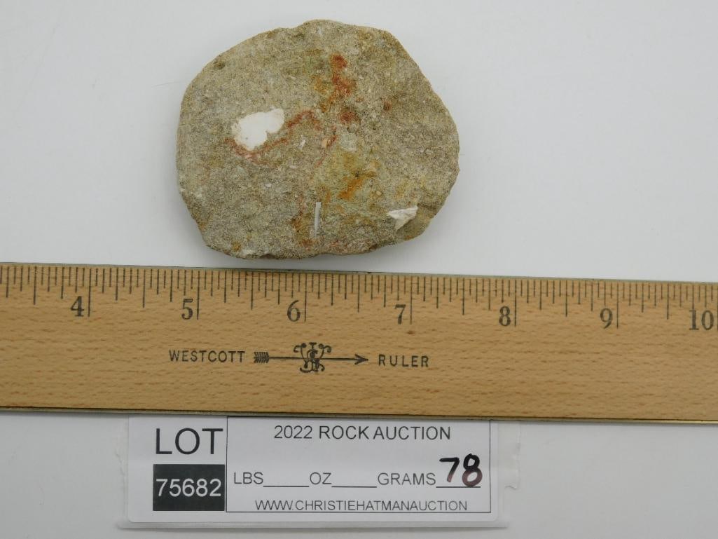 DINOSAUR BONE IN MATRIX - 2