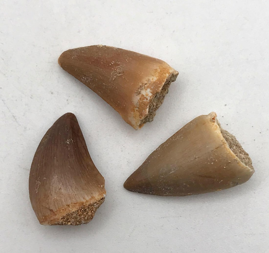 JEWELRY ROCK STONE LAPIDARY SPECIMEN: JEWELRY ROCK STONE LAPIDARY SPECIMEN