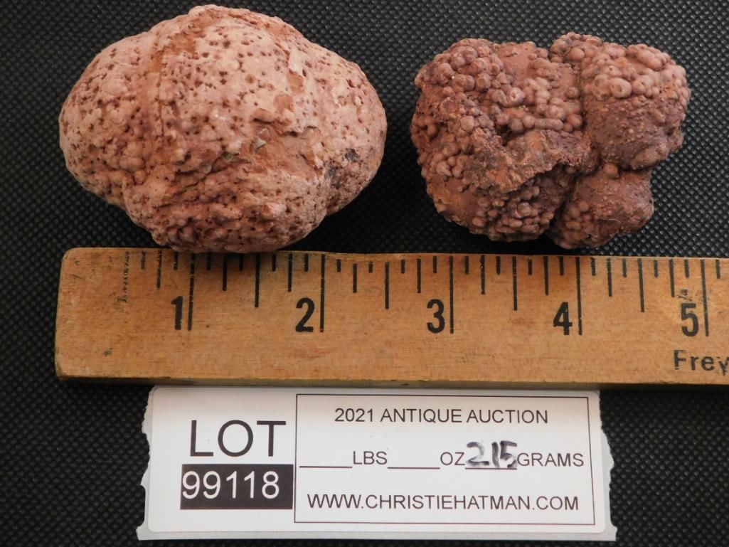COPROLITE ROCK STONE LAPIDARY SPECIMEN - 2