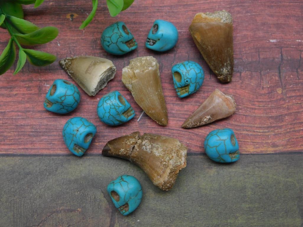 DINOSAUR TEETH AND STONE SKULL BEADS ROCK STONE LAPIDARY SPECIMEN: DINOSAUR TEETH AND STONE SKULL BEADS ROCK STONE LAPIDARY SPECIMEN