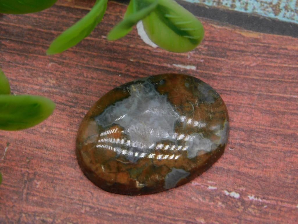 RHYOLITE CABOCHON ROCK STONE LAPIDARY SPECIMEN: RHYOLITE CABOCHON ROCK STONE LAPIDARY SPECIMEN