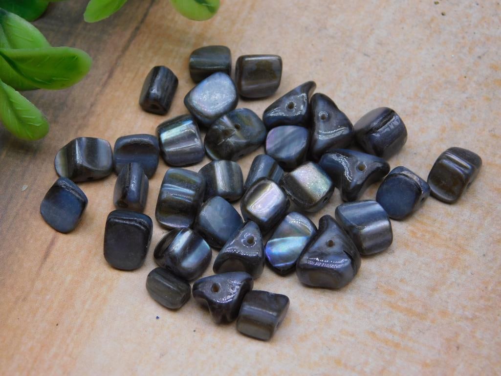 SHELL BEADS ROCK STONE LAPIDARY SPECIMEN: SHELL BEADS ROCK STONE LAPIDARY SPECIMEN