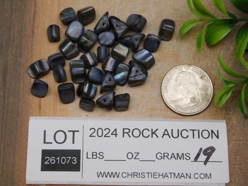 SHELL BEADS ROCK STONE LAPIDARY SPECIMEN - 3