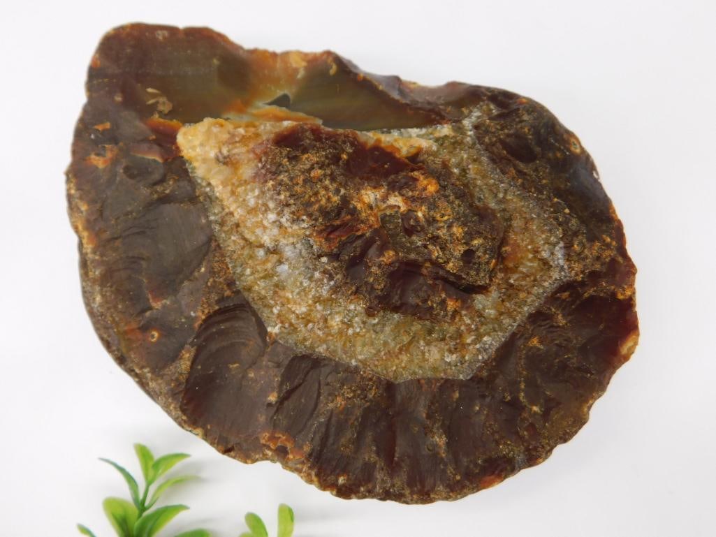 2 BRAZILIAN AGATE ROCK STONE LAPIDARY SPECIMEN: 2 BRAZILIAN AGATE ROCK STONE LAPIDARY SPECIMEN