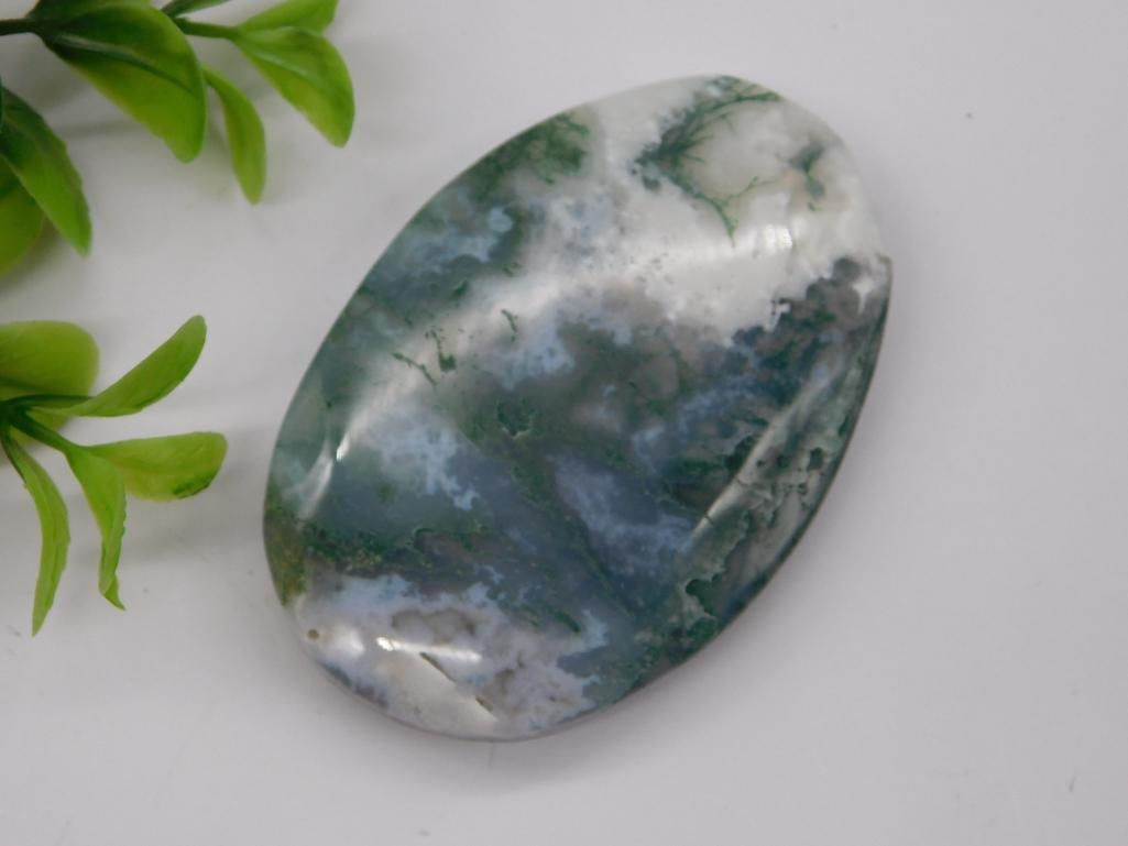 MOSS PLUME AGATE ROCK STONE LAPIDARY SPECIMEN: MOSS PLUME AGATE ROCK STONE LAPIDARY SPECIMEN