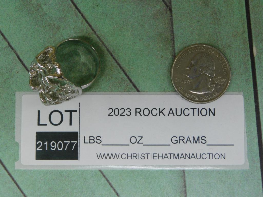 SILVER TONE RING ROCK STONE LAPIDARY SPECIMEN - 2