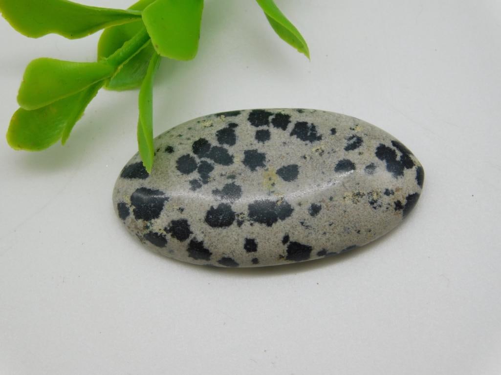 DALMATION JASPER CABOCHON ROCK STONE LAPIDARY SPECIMEN: DALMATION JASPER CABOCHON ROCK STONE LAPIDARY SPECIMEN