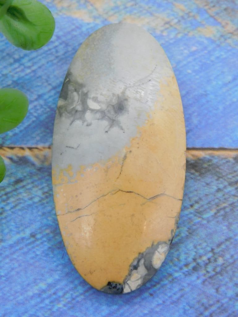 CABOCHON ROCK STONE LAPIDARY SPECIMEN (1 of 2)