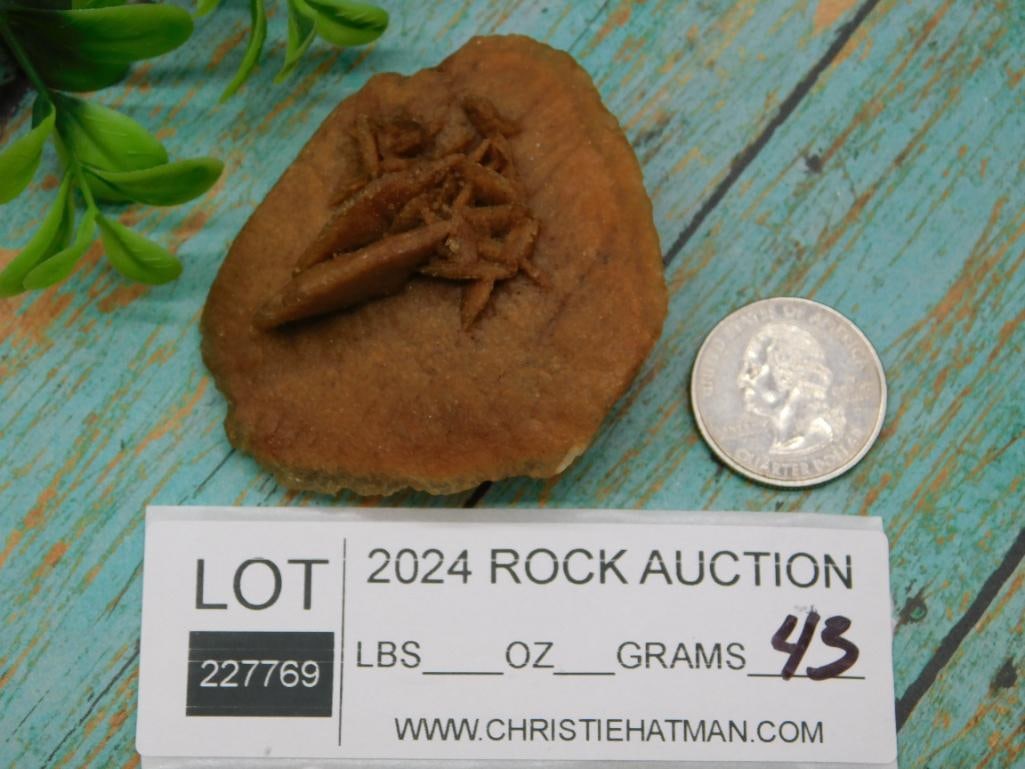 DESERT ROSE ROCK STONE LAPIDARY SPECIMEN - 2