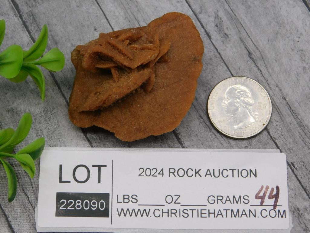 DESERT ROSE ROCK STONE LAPIDARY SPECIMEN - 2